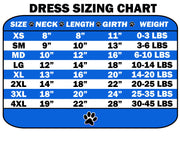 Halloween Pet Dog & Cat Dress Screen Printed, "Black Cats Are Bad Luck"